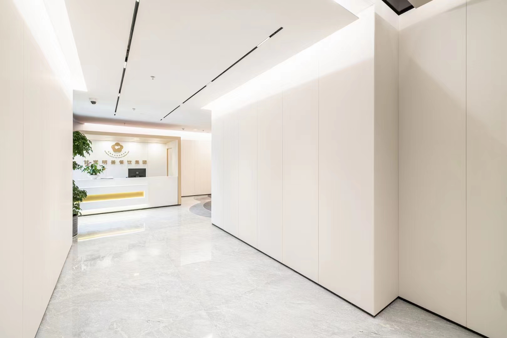 深入剖析抗倍特板：優(yōu)勢(shì)與局限并存的裝飾建材